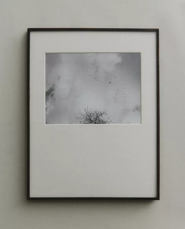 Ravello, No. I (2026)