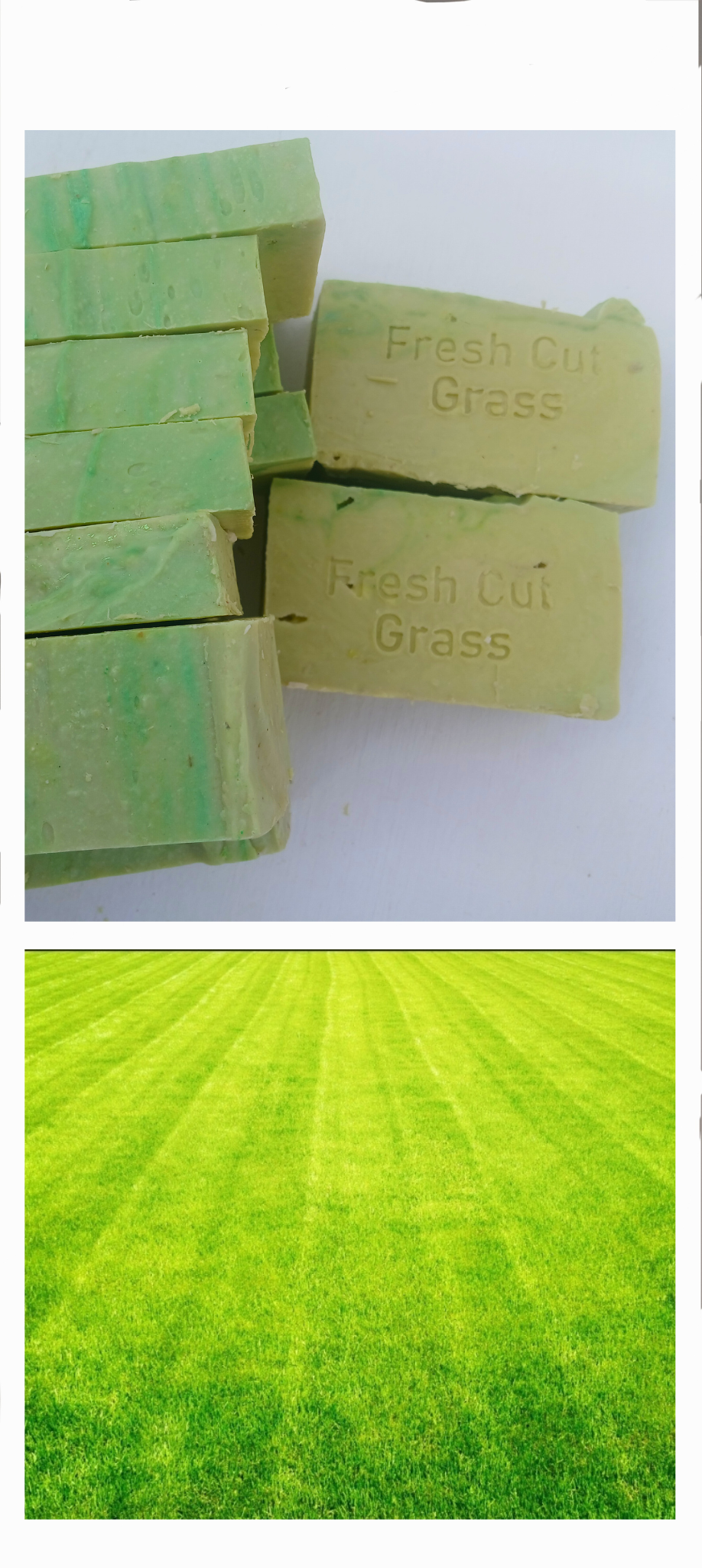 Colorwave Goat Milk Soap FRESH CUT GRASS