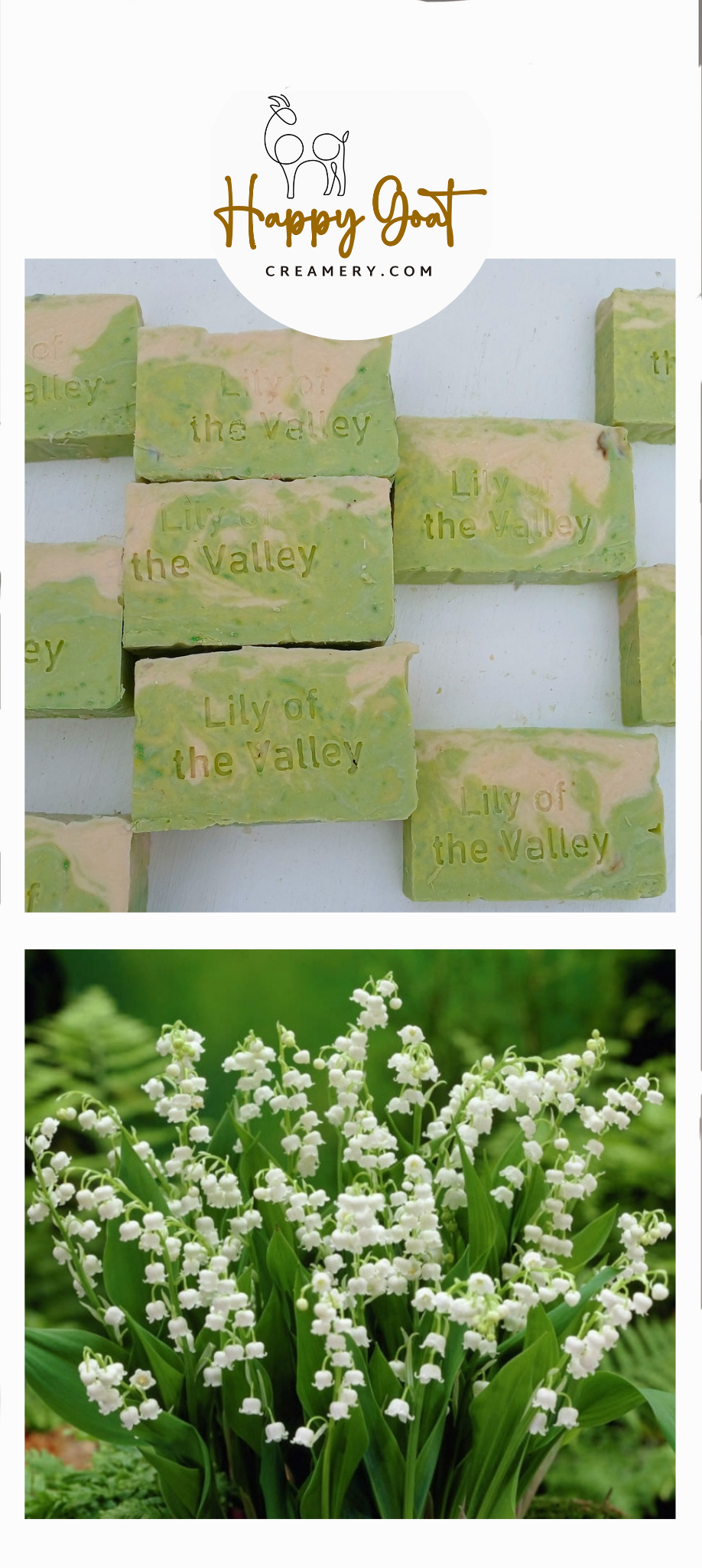 Colorwave Goat Milk Soap LILY OF THE VALLEY