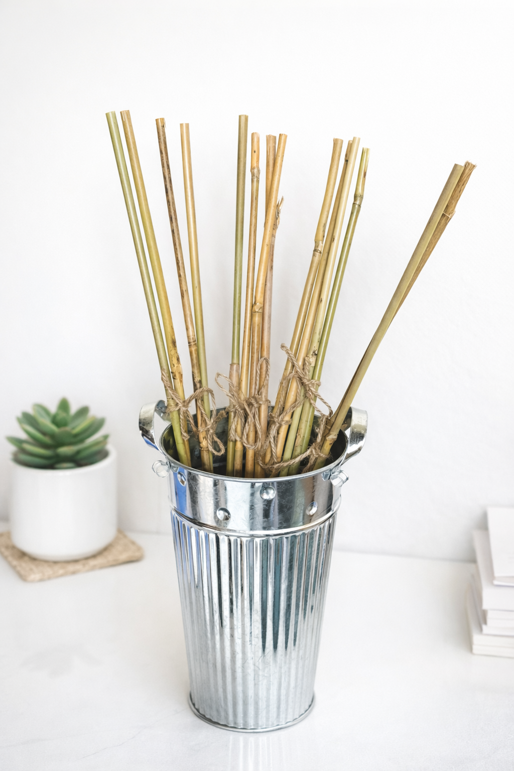 Supportive Bamboo For Plants