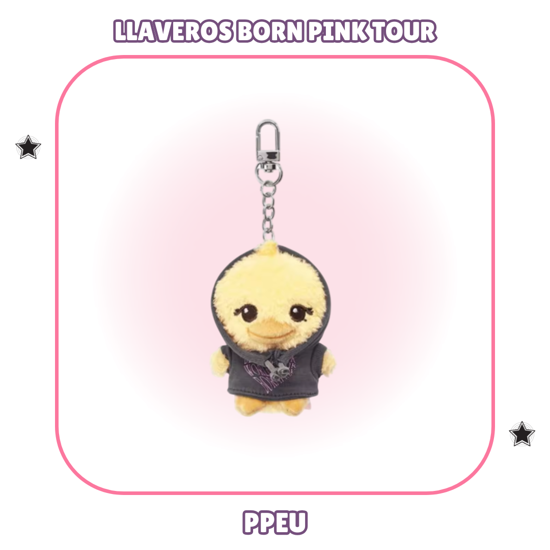 BORN PINK LLAVEROS TOUR -  BLACKPINK 