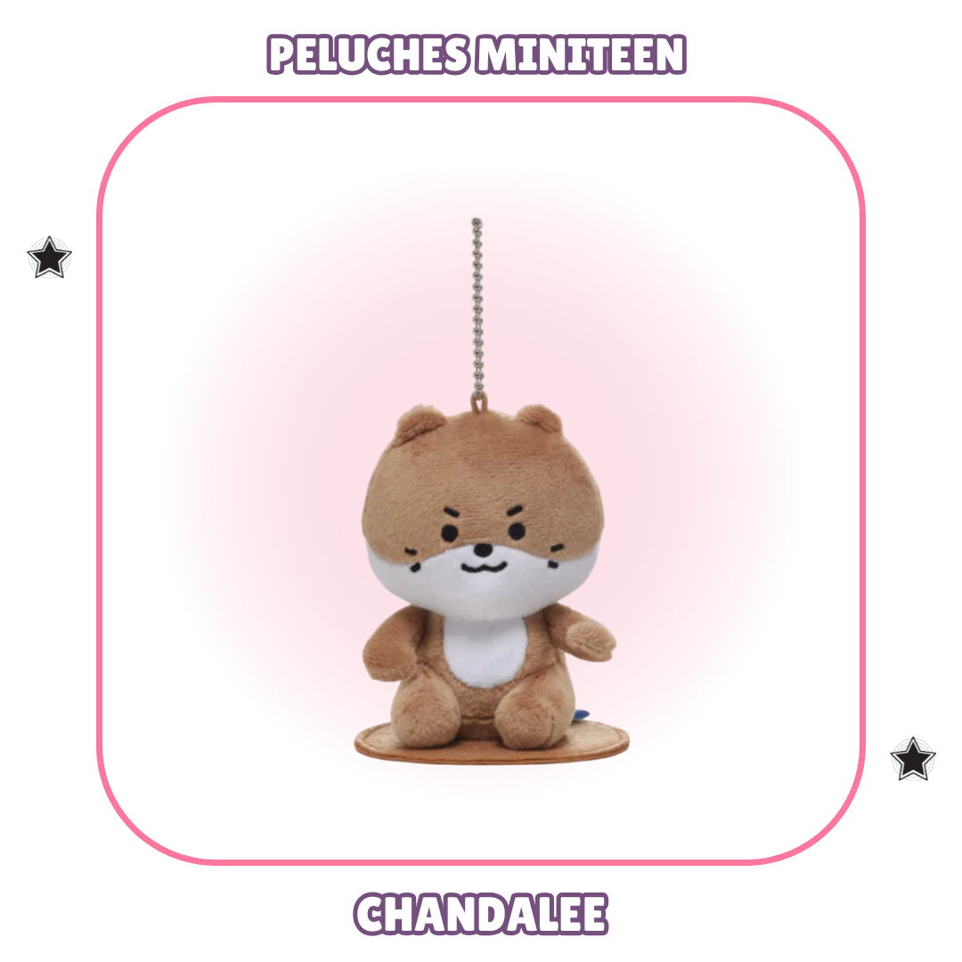 PELUCHES MINITEEN - SEVENTEEN 