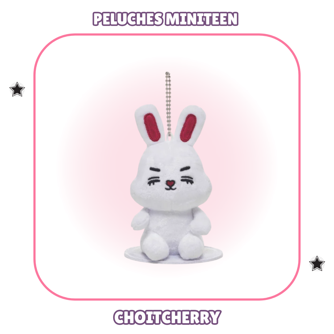 PELUCHES MINITEEN - SEVENTEEN 