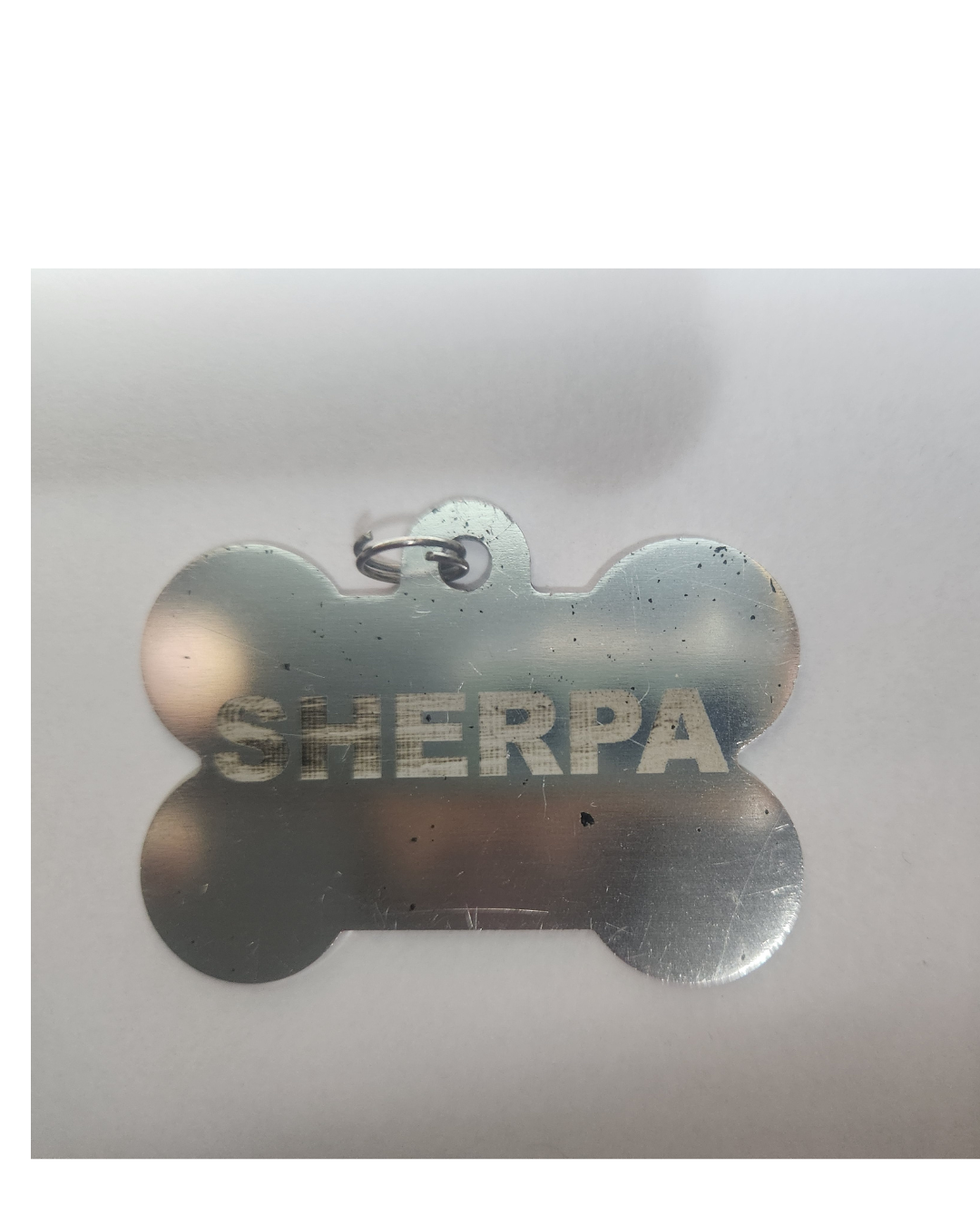 Plaquinha Pet Osso de Metal