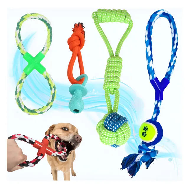 Kit de Brinquedos para Cachorro