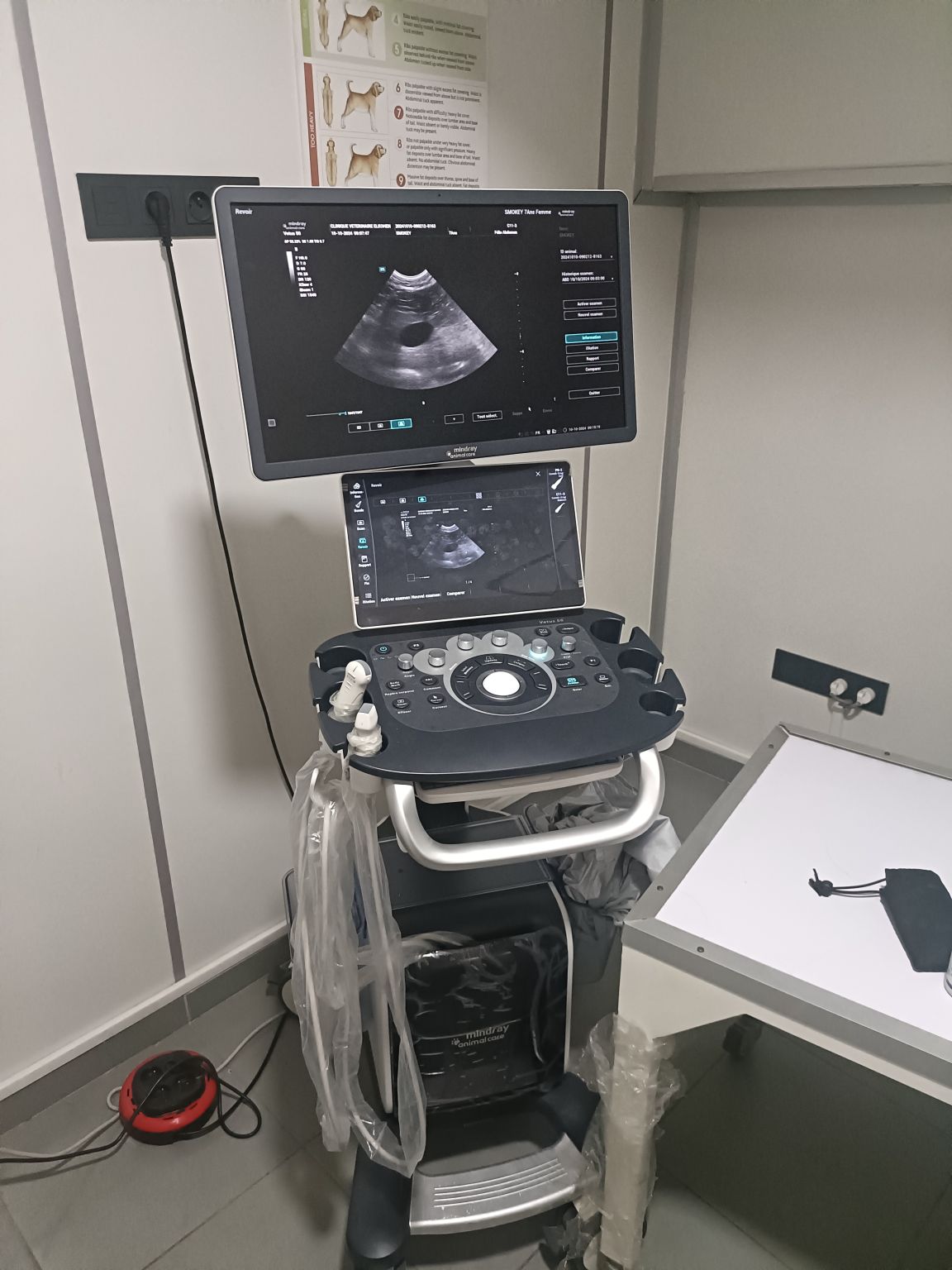Mindray Vetus 50 Ultrasound Machine (Used) - SALE!
