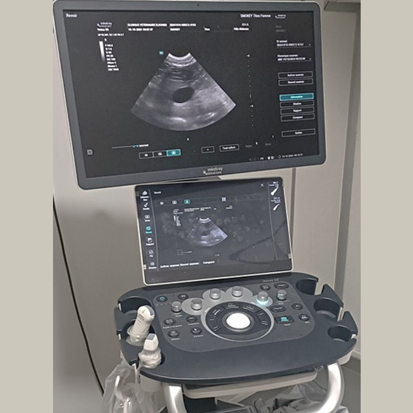 Mindray Vetus 50 Ultrasound Machine (Used) - SALE!