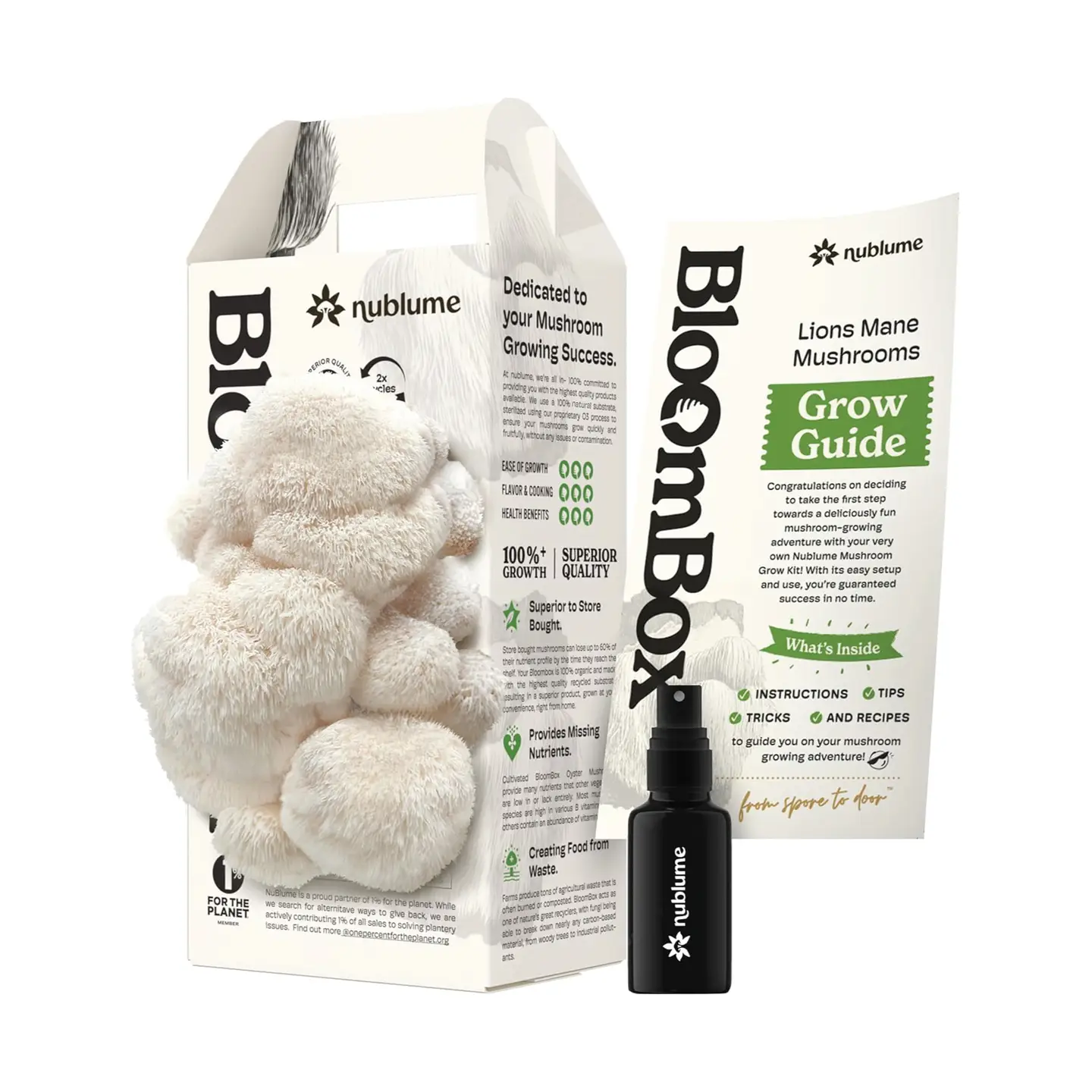 Lion’S Mane Mushroom Grow Kit | Diy Indoor Garden | Gift