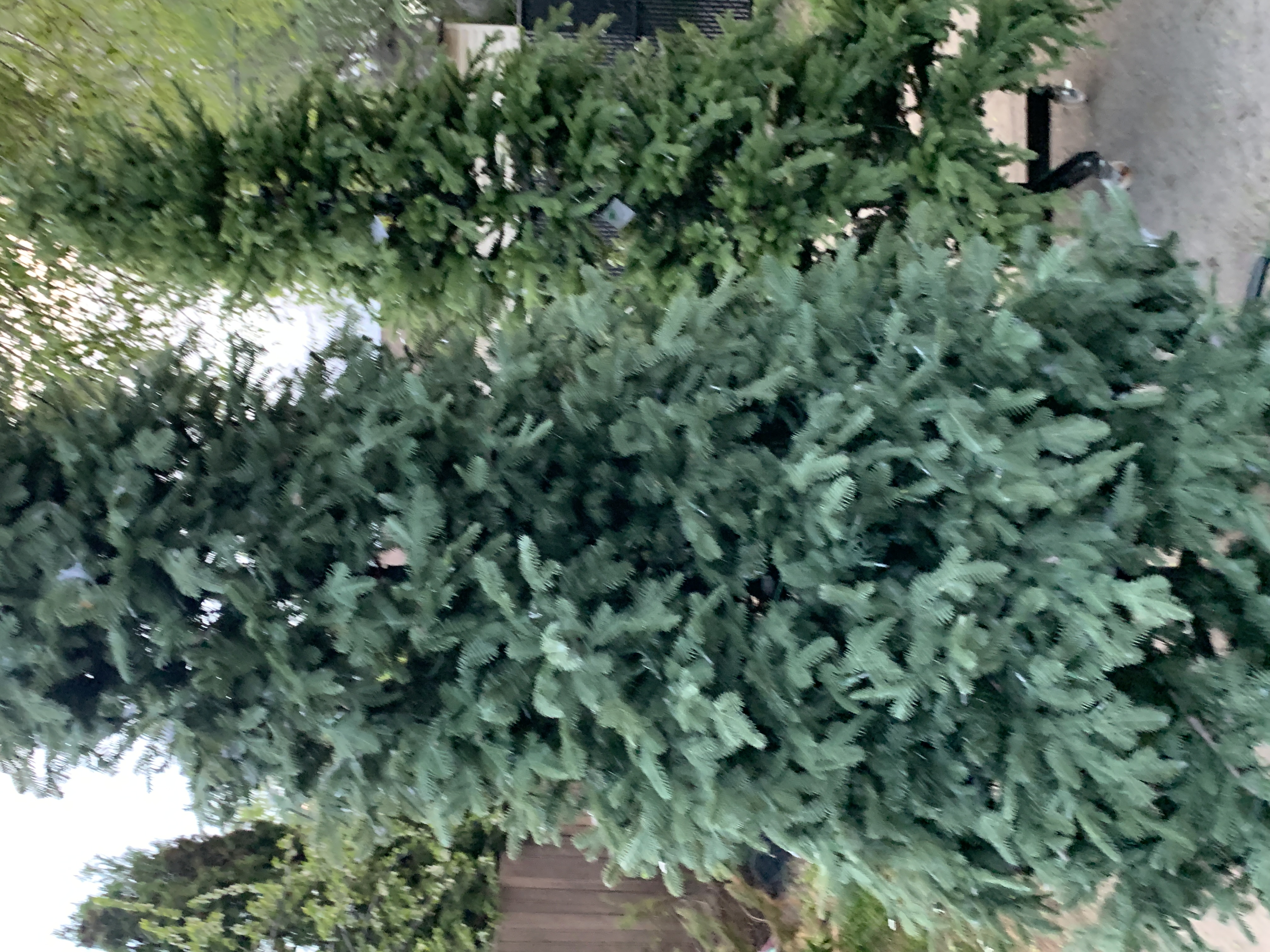 Tall Artificial Christmas Tree 12ft