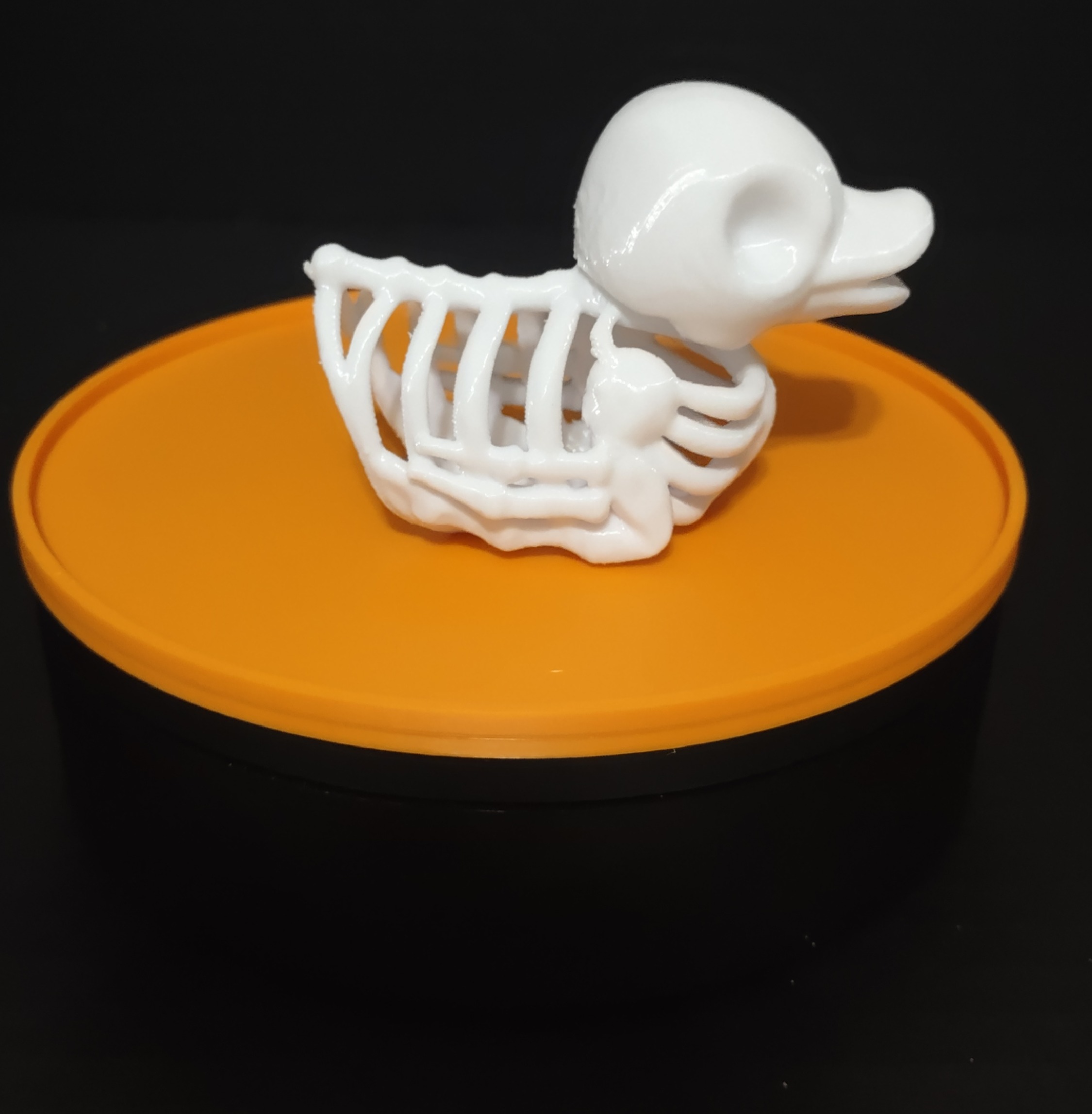Skeleton Duck