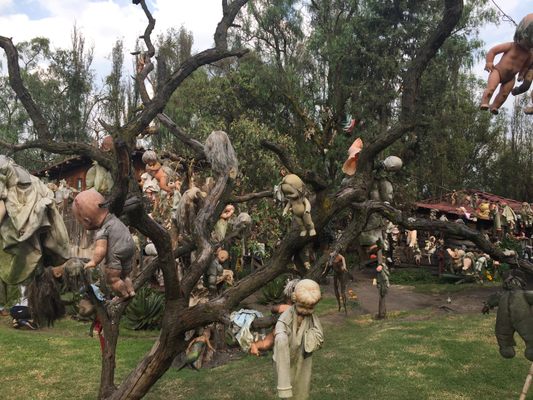 4 hrs. Isla de las muñecas (Réplica)