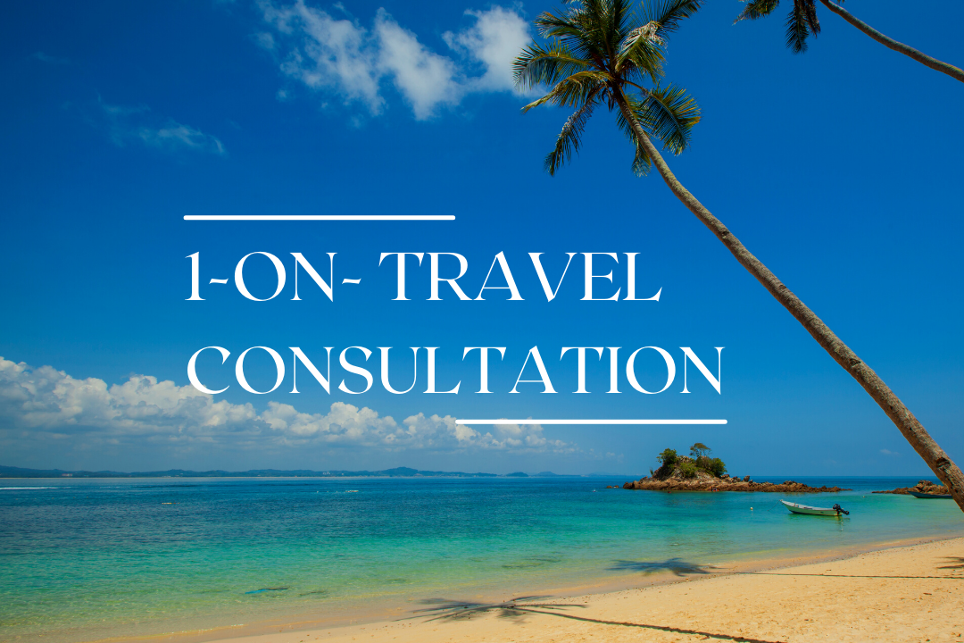 1-on-1 Travel Consultation