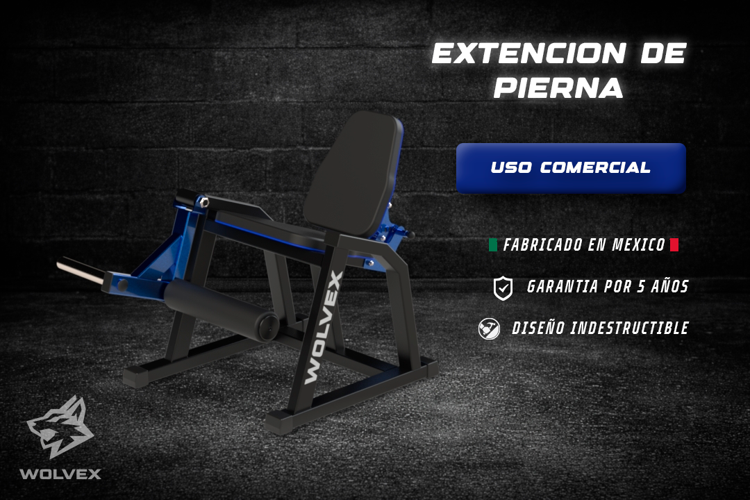 Extensión de pierna 
