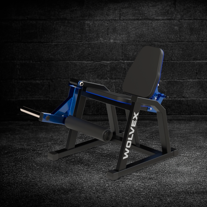 Extensión de pierna 