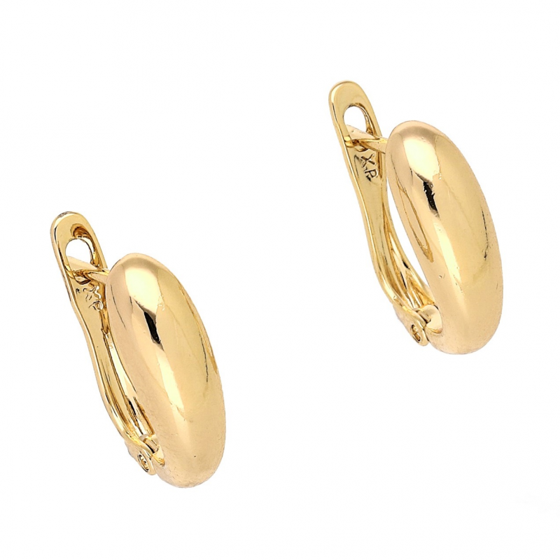 Medicininio 18K aukso auskarai