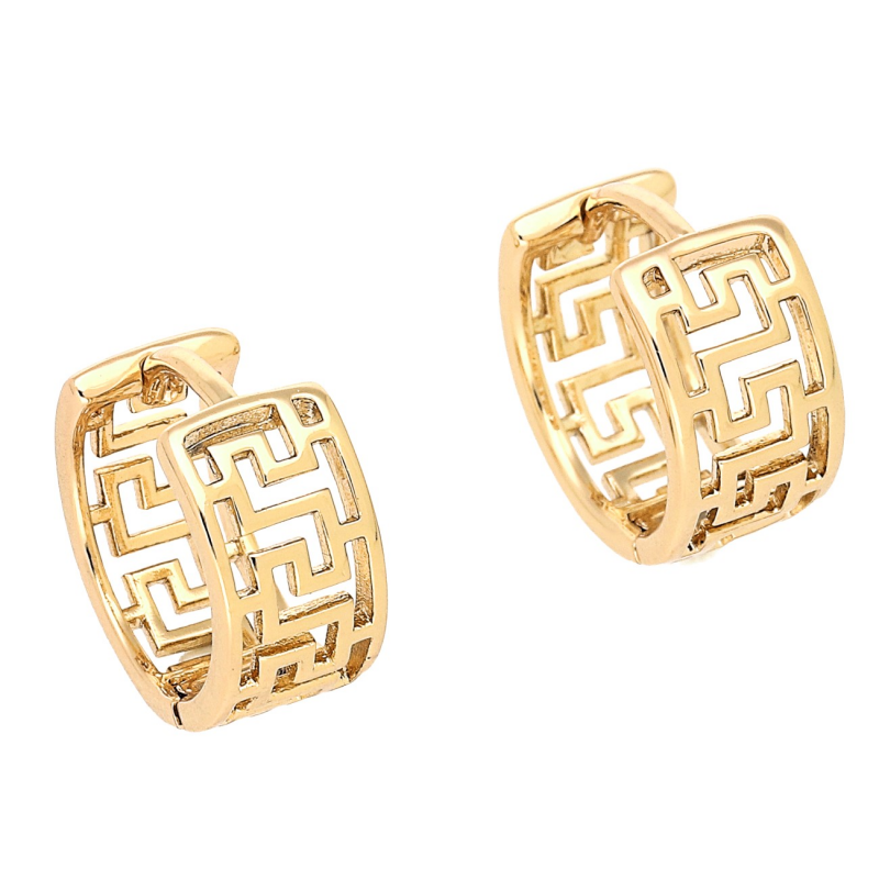 Medicininio 18K aukso auskarai