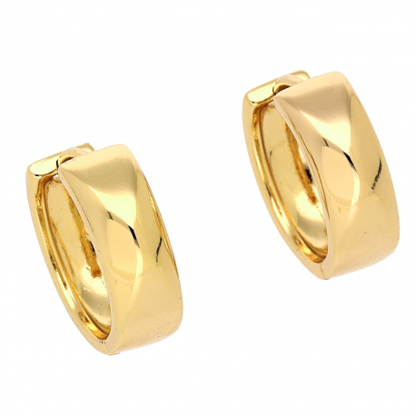 Medicininio 18K aukso auskarai