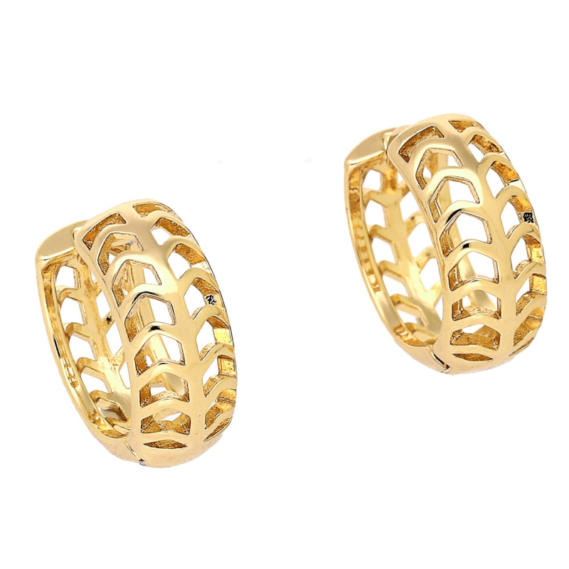 Medicininio 18K aukso auskarai