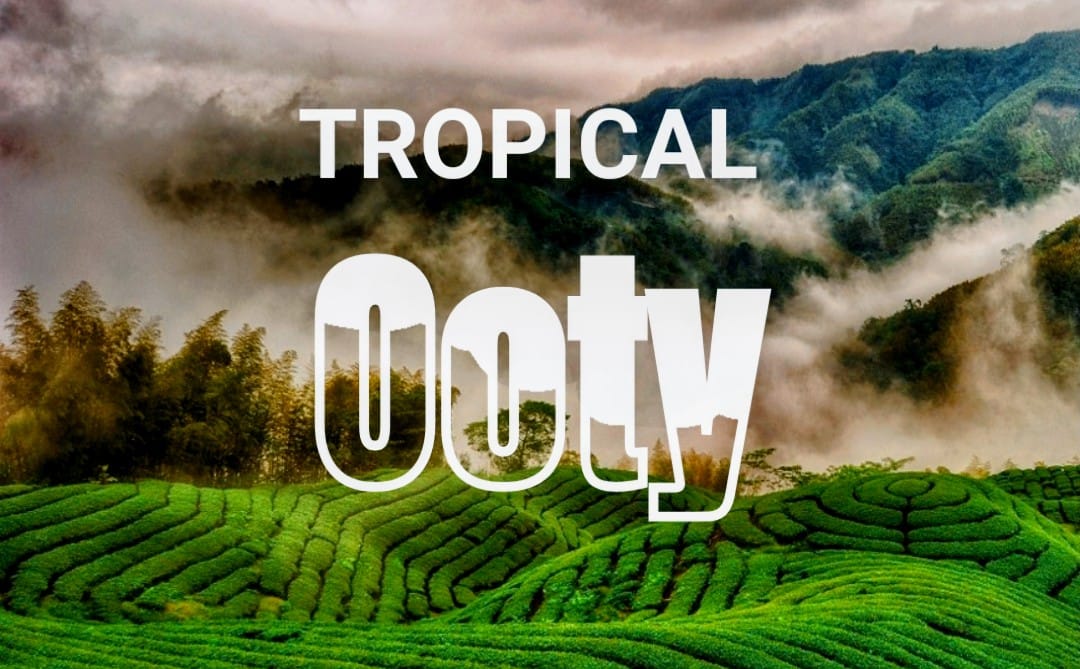 Tropical Ooty