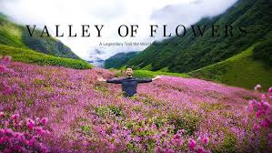 Valley of Flowers with Hemkund Sahib