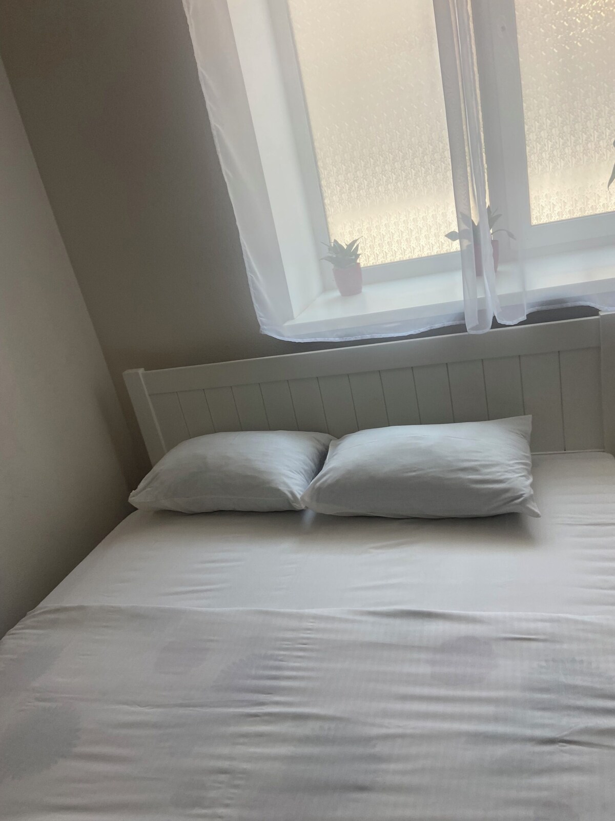 Стандарт / Standard