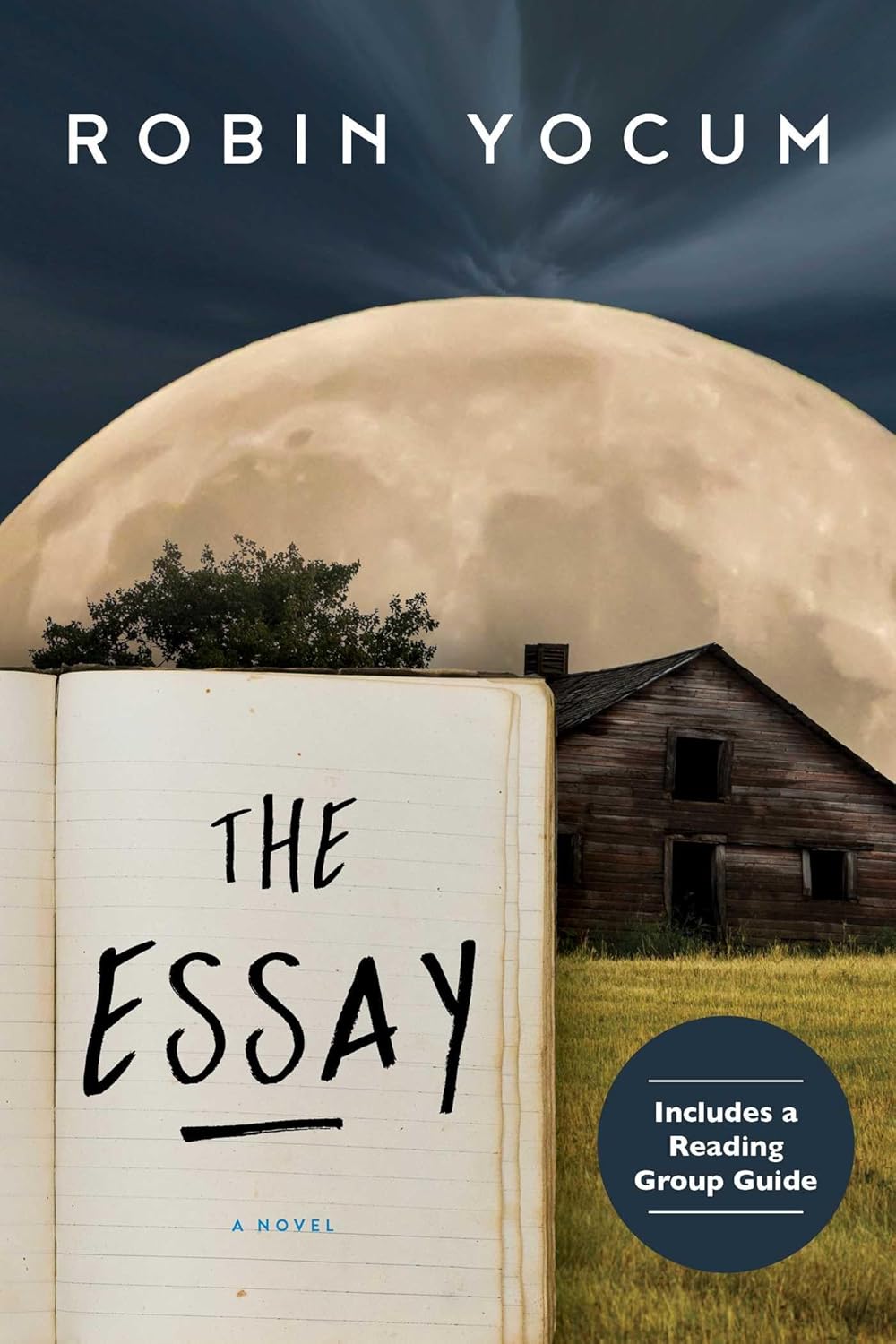 The Essay: A Novel 
