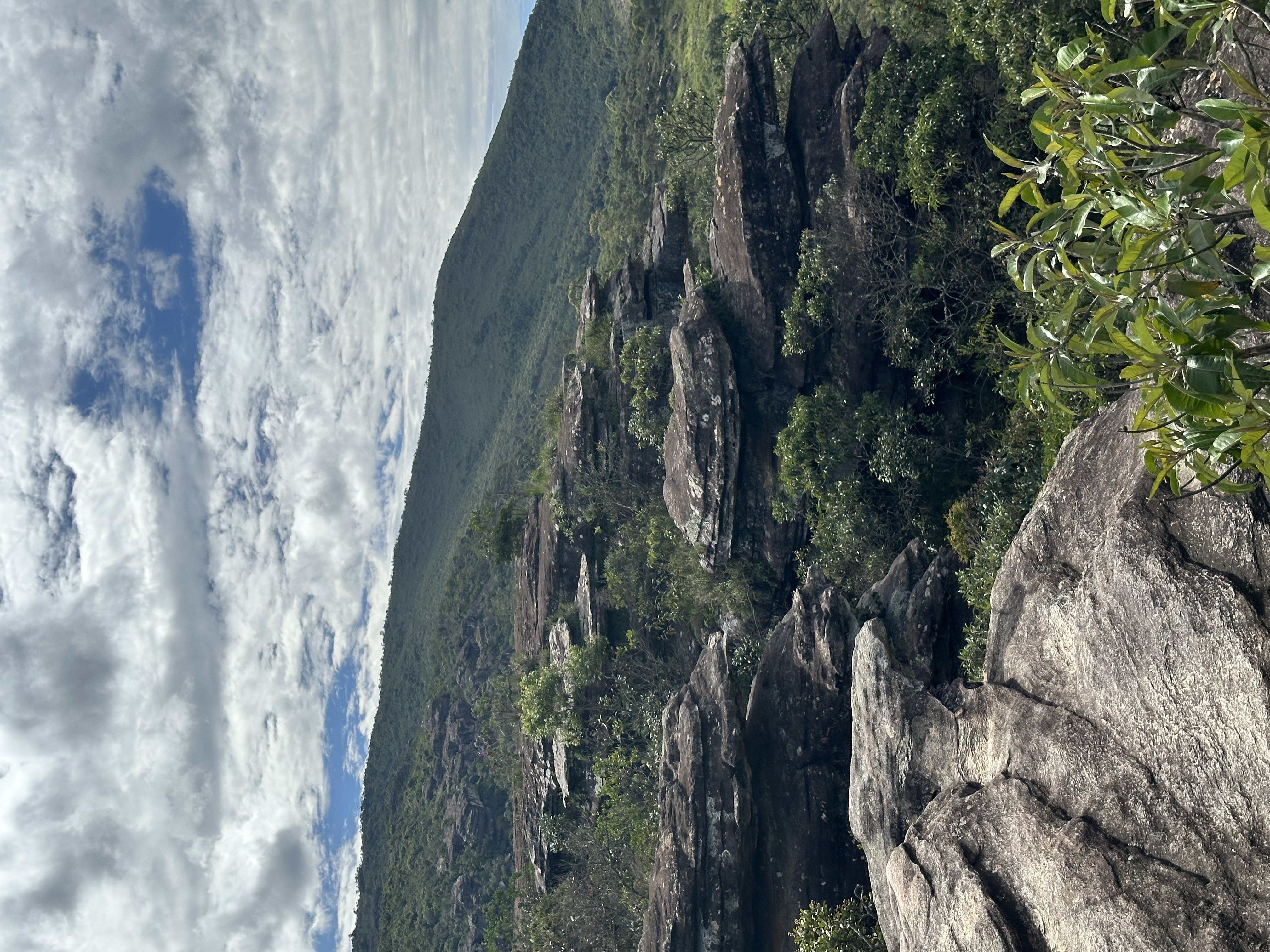 Parque das Andorinhas