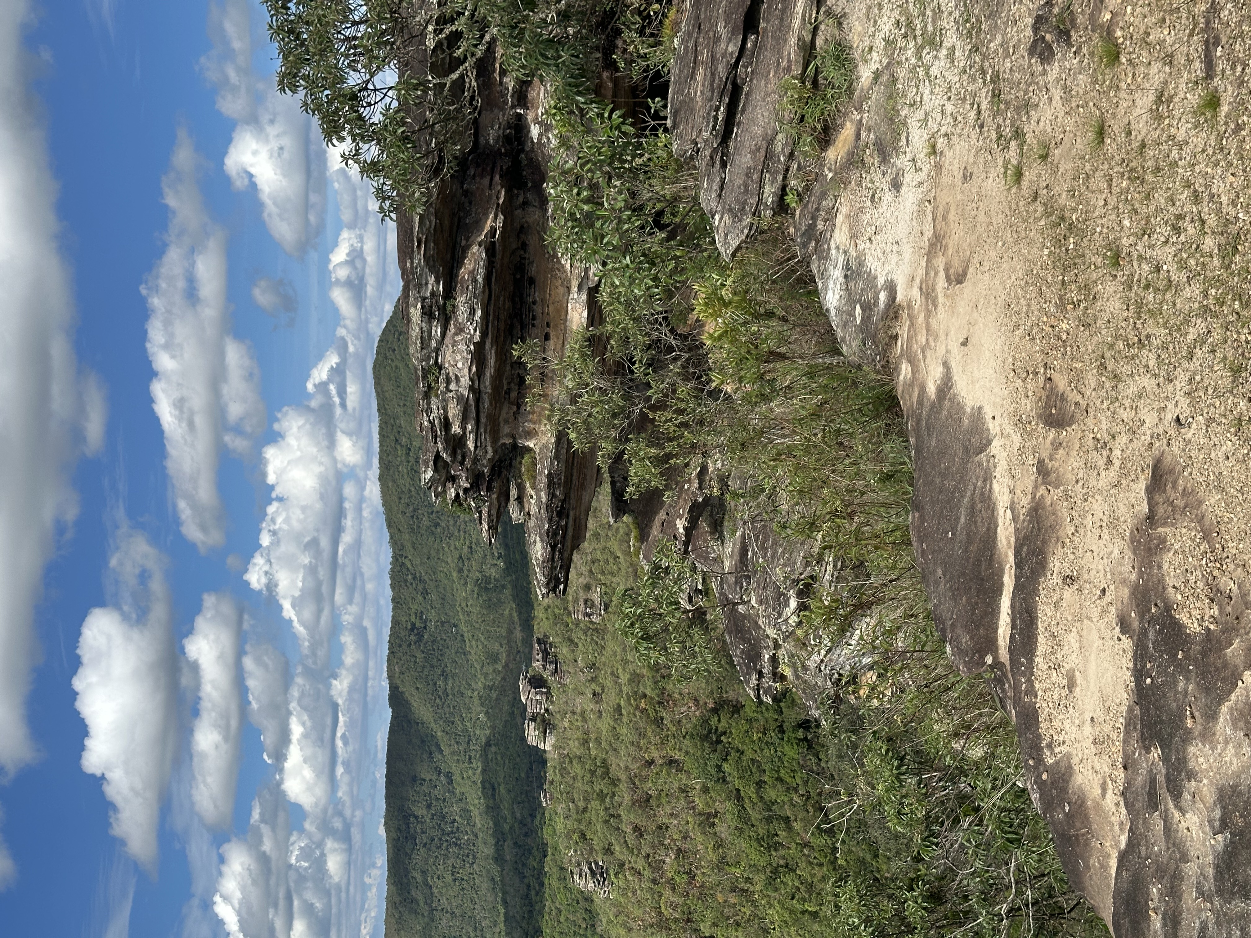 Parque das Andorinhas