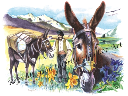 L'Âne des Pyrénées