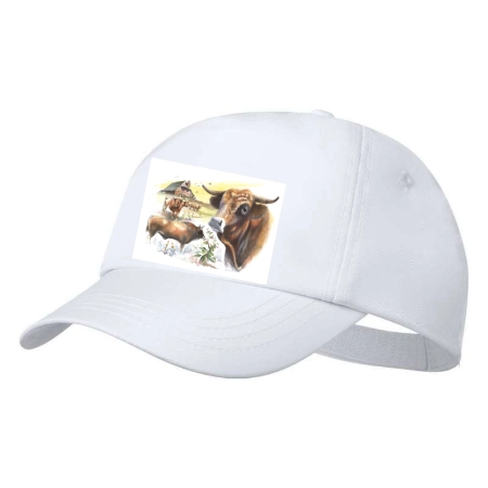 casquettes taureau