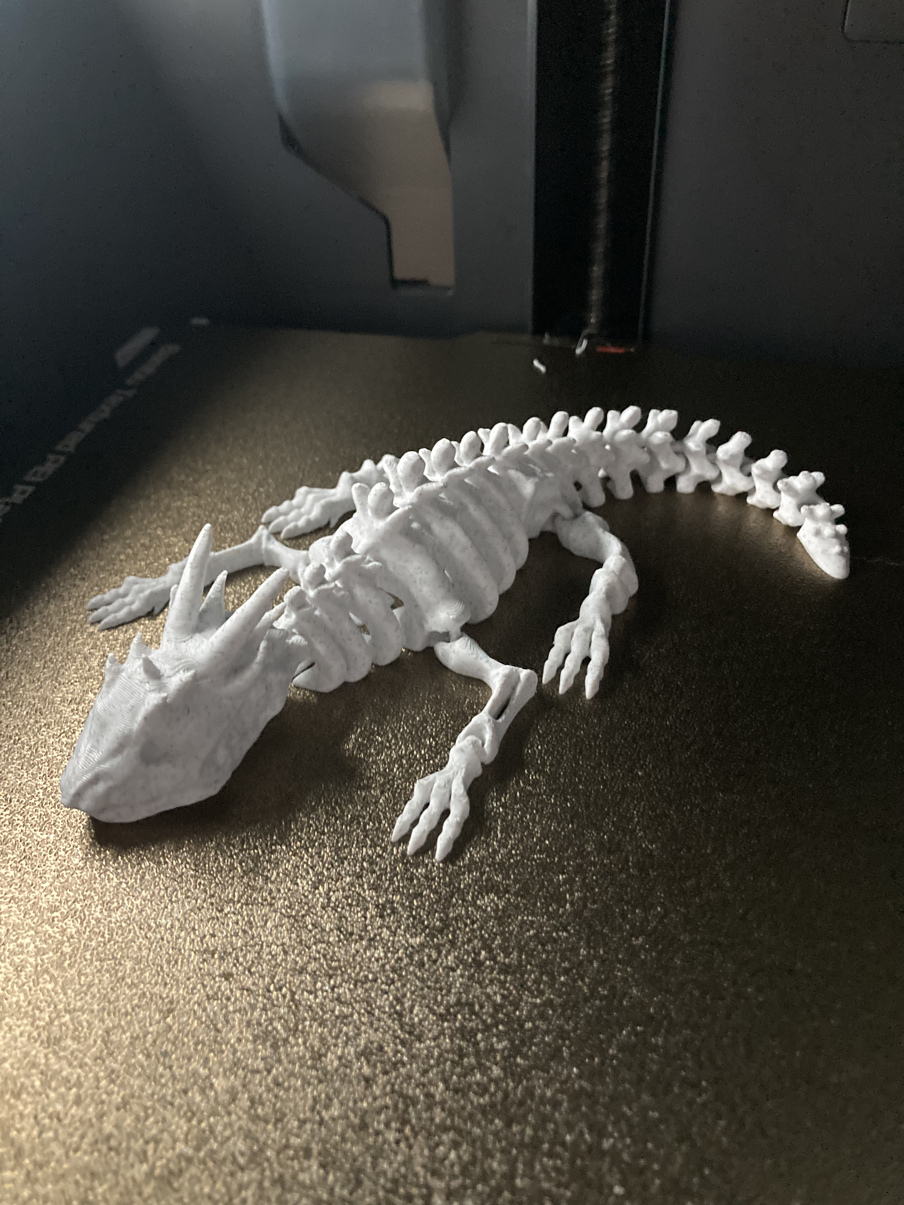 Esqueleto dragon articulado | PLA