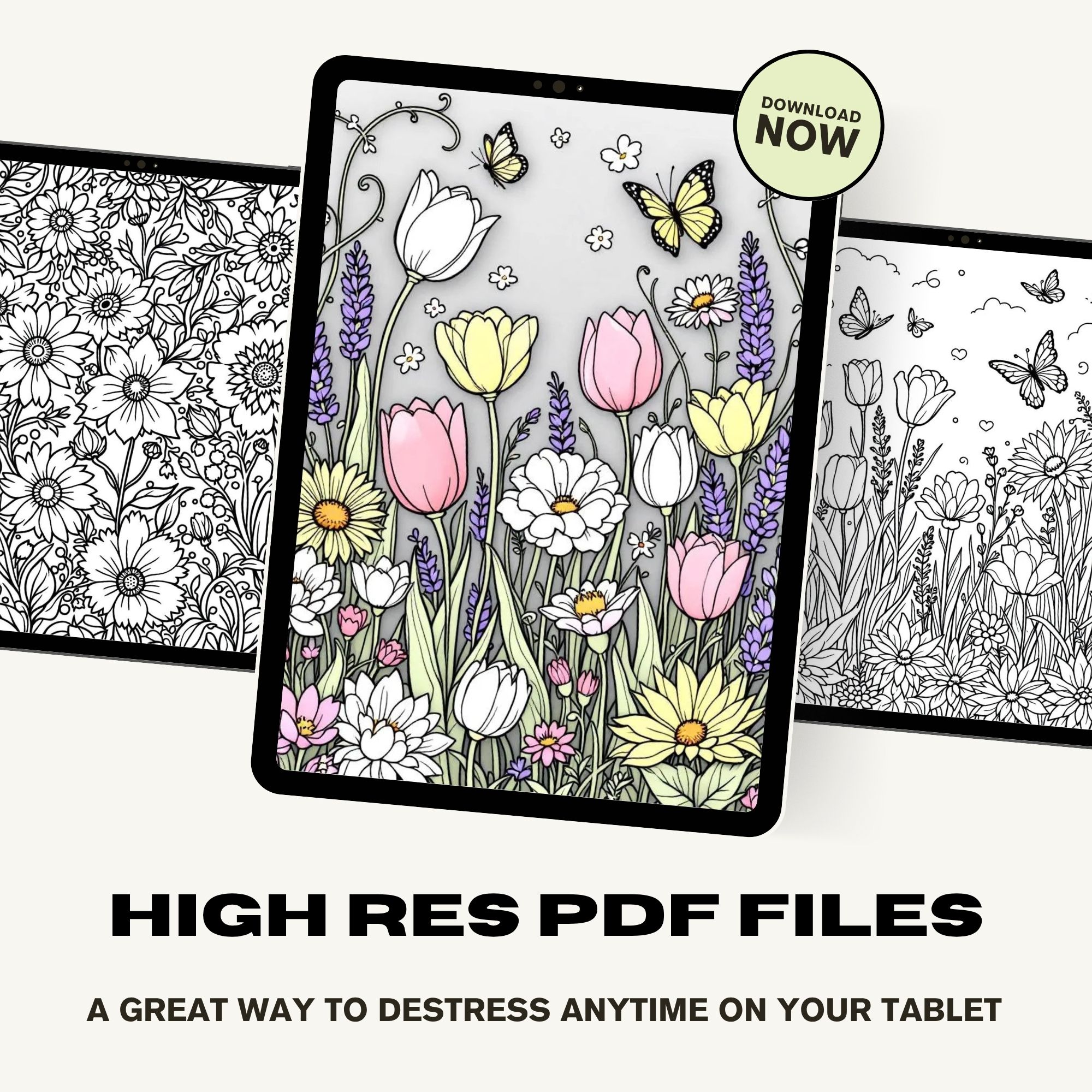 Floral Frenzy Coloring Book - Digital Download