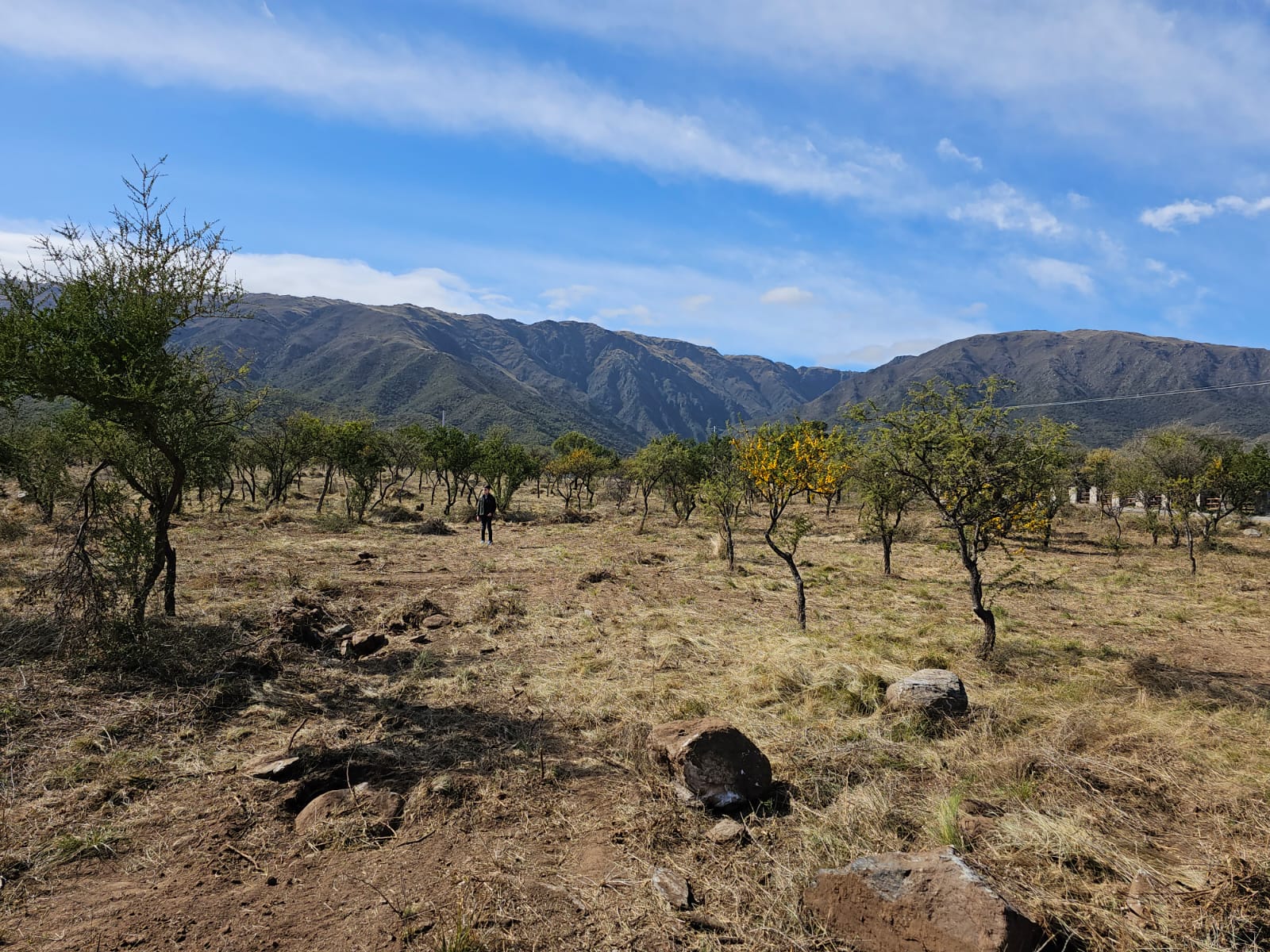 TERRENOS EN LOS MOLLES A 10KM DE CIUDAD DE MERLO, SAN LUIS