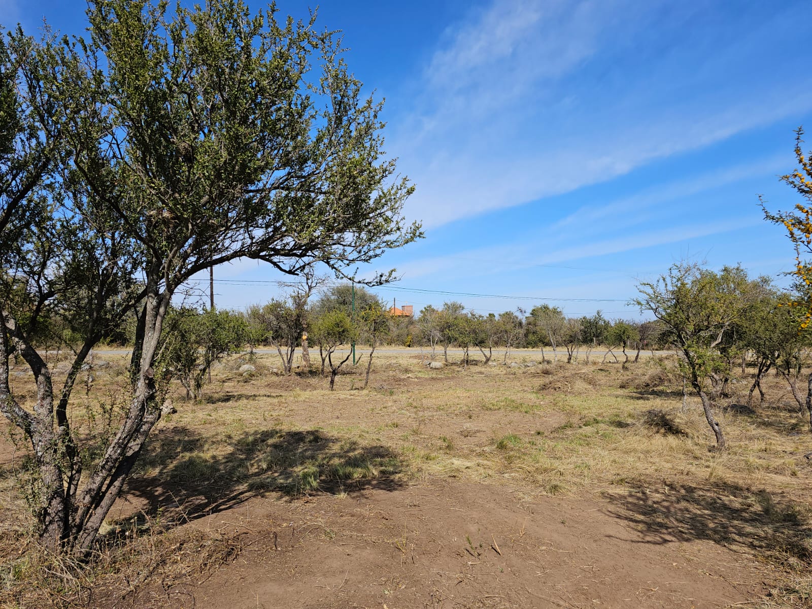 TERRENOS EN LOS MOLLES A 10KM DE CIUDAD DE MERLO, SAN LUIS