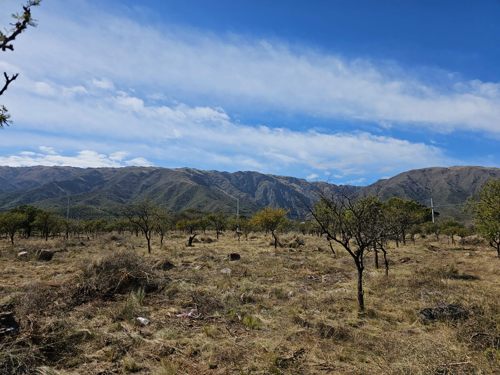 TERRENOS EN LOS MOLLES A 10KM DE CIUDAD DE MERLO, SAN LUIS