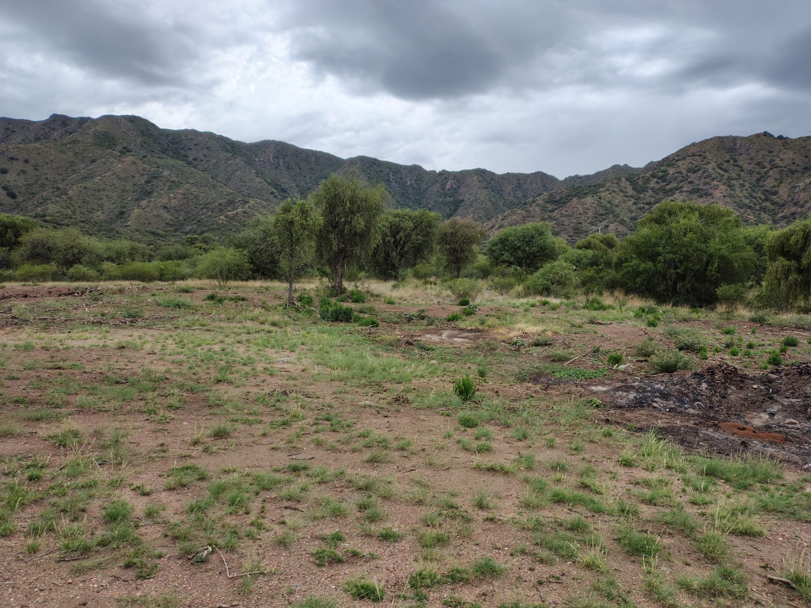 TERRENO EN VENTA- RUTA N° 3 - A 2 KM DE VILLA DE LA QUEBRADA