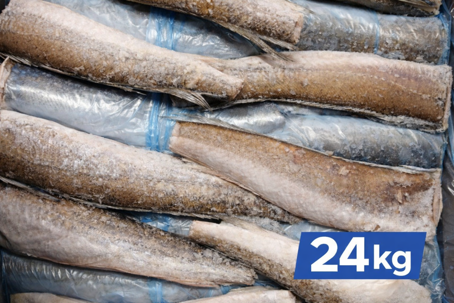 Argengninė jūrinė lydeka (be galvos, išdarinėta, be uodegos), 200-400gr