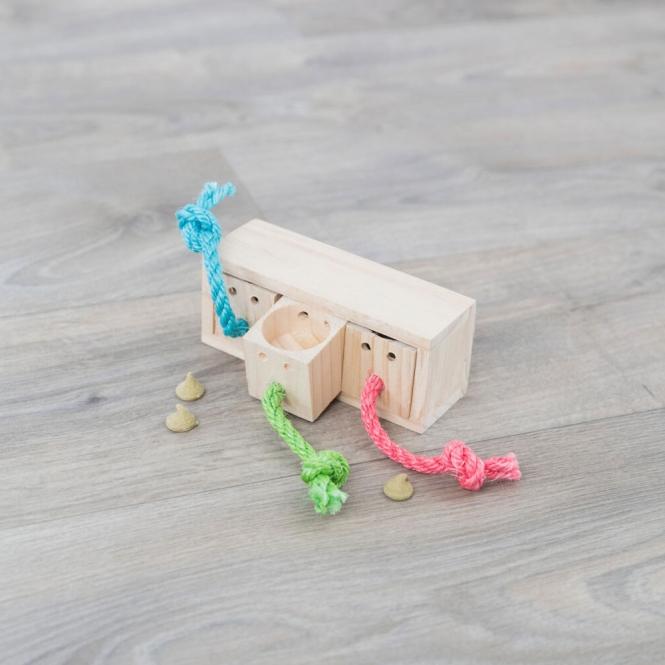 Intelligenzspielzeug Snack-Würfel