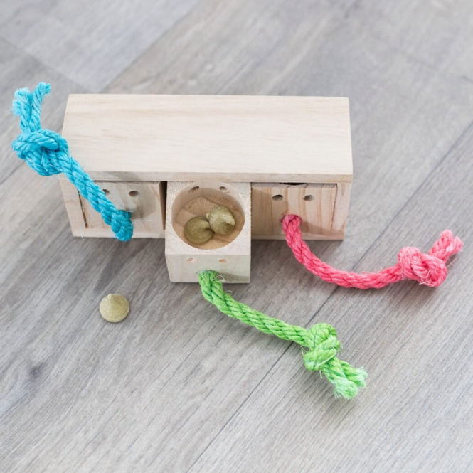 Intelligenzspielzeug Snack-Würfel