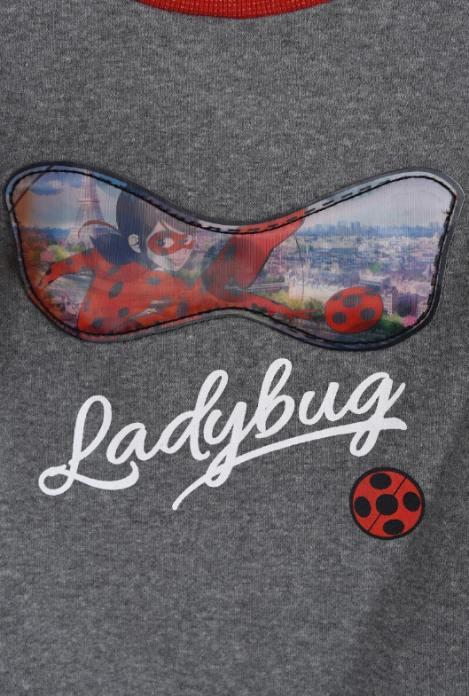 Sweat Ladybug enfant