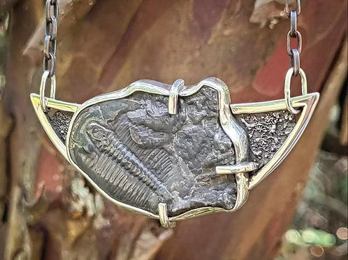 Trilobite Fossil Necklace