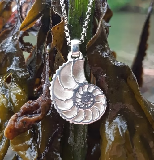Nautilus Shell Pendant