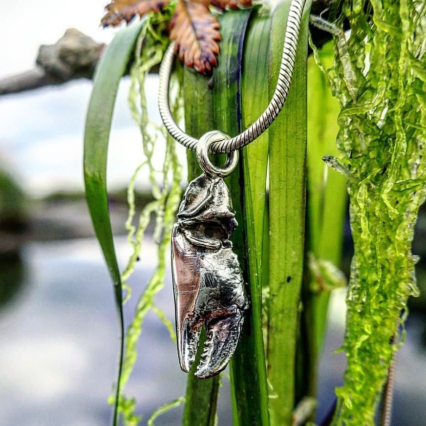 Crab Claw Pendant