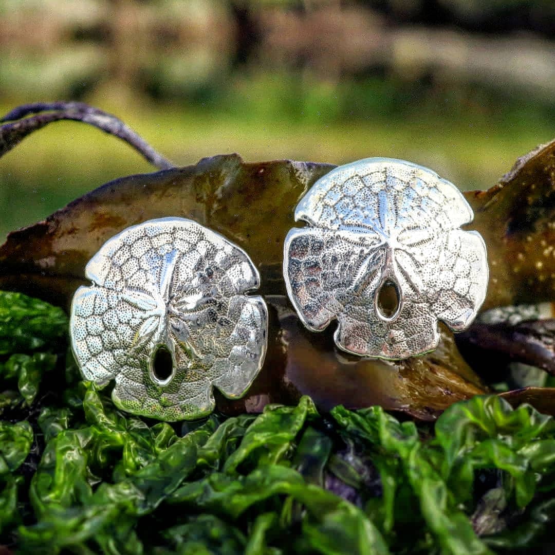 Sand Dollar Stud Earrings