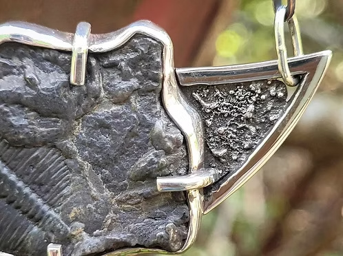 Trilobite Fossil Necklace