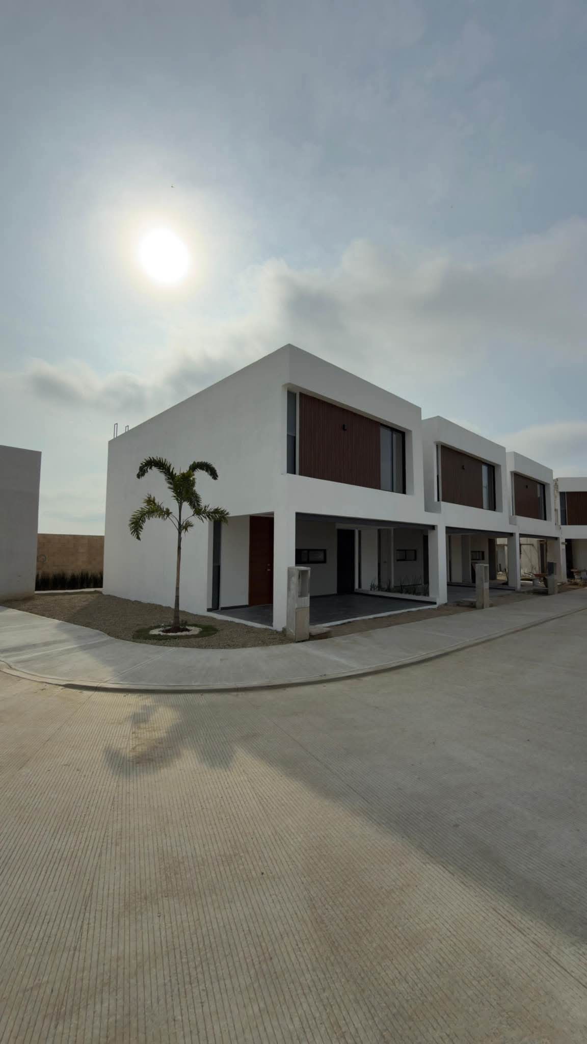 MODELO FEDE - REAL DE PALMAS