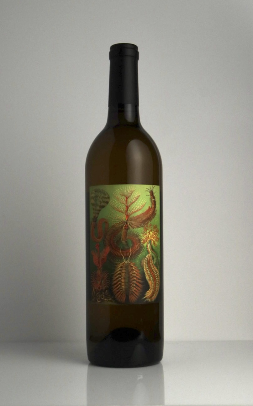 Birichino Malvasia Bianca