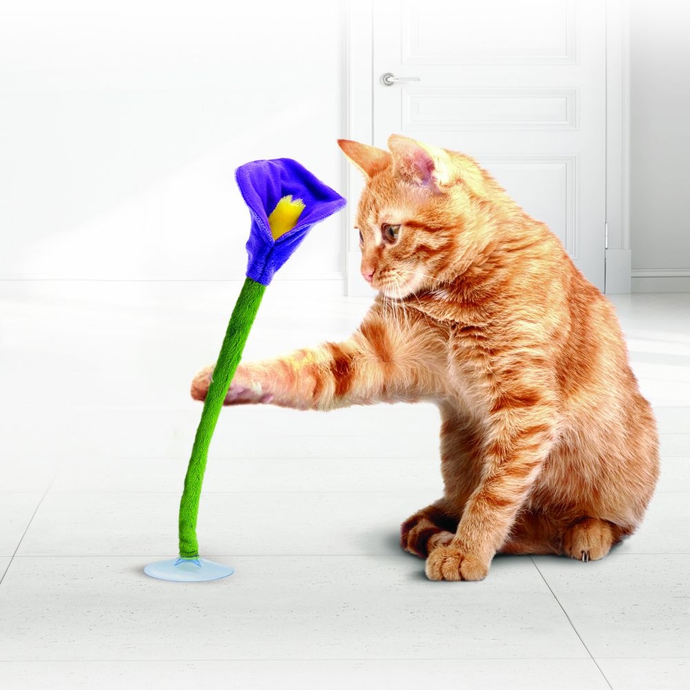 Kong Connects Bloomz Cat Toy