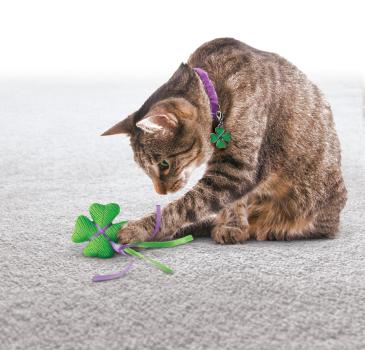 Kong Charmed Shapes Cat Toy