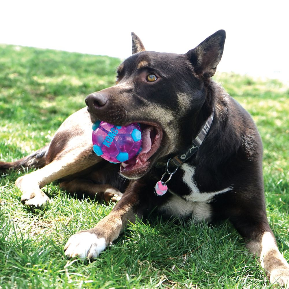 Kong Wrapz Sport Soccer Ball Dog Toy (Large)